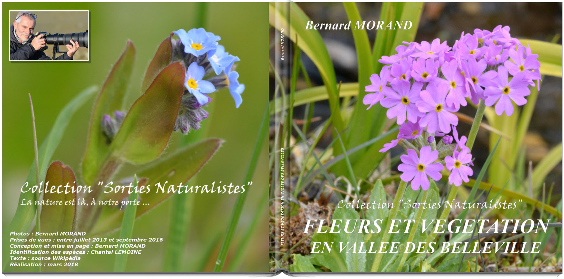 fleurs-et-vegetation-en-vallee-des-belleville